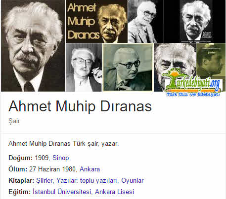 Ahmet Muhip Dıranas Kimdir?