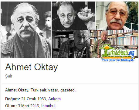 Ahmet Oktay Kimdir?