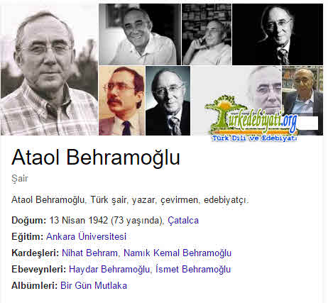 Ataol Behramoğlu Kimdir?