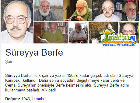 Süreyya Berfe