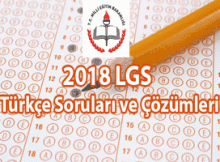 2018 LGS Türkçe Soruları ve Çözümleri