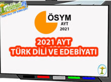 2021-AYT Türk Dili ve Edebiyatı Soruları ve Cevapları