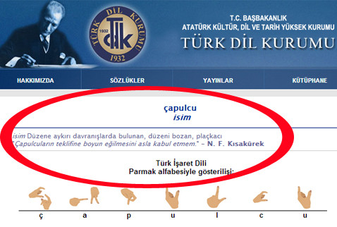 Çapulcu çapulcu