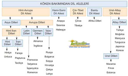 Altay Dil Ailesinin Özellikleri