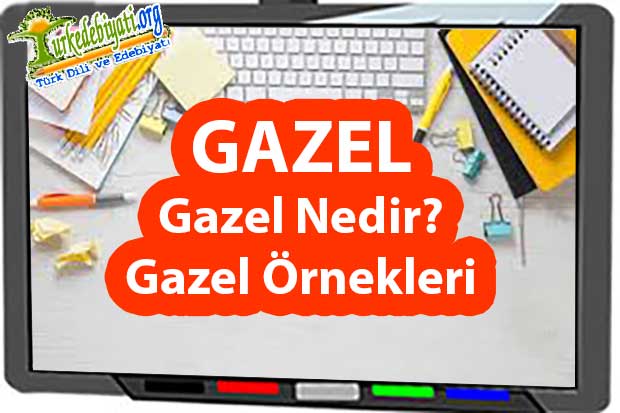 gazel