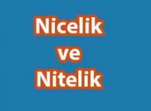 Nicel ve Nitel Anlam