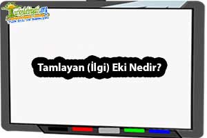 İlgi (Tamlayan) Eki Nedir? Özellikleri, Örnekleri