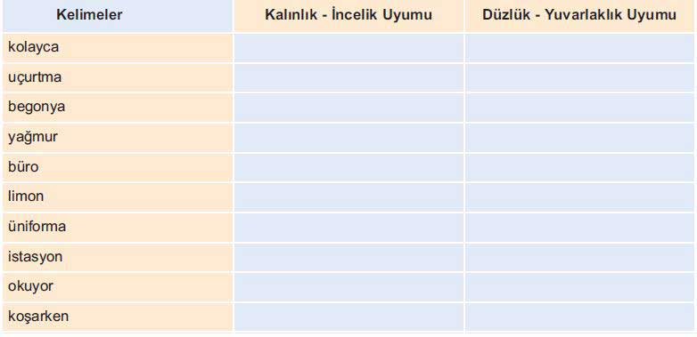 Türkçenin Ses Özellikleri Test